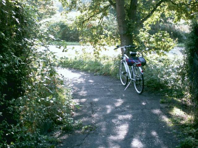  Vorsicht, schmale Kurve! 